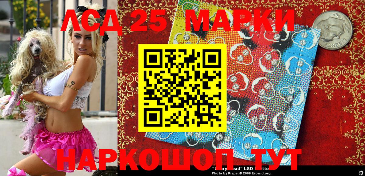 дарнет шоп  Вход с VPN  Тула  Марки NBOMe 1500мкг 