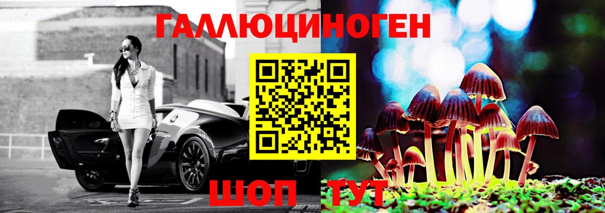 Псилоцибиновые грибы Psilocybine cubensis  Вход с VPN  Тула 